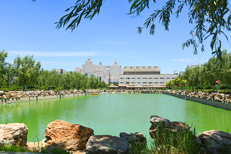 中水再利用，成為園區(qū)景觀用水。以嶺藥業(yè)供圖