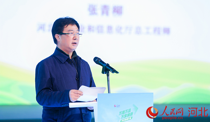 河北省工業(yè)和信息化廳總工程師張青柳講話。人民網記者 李兆民攝