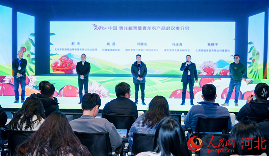 湖北、河北兩地行業(yè)協會和企業(yè)代表上臺分享如何共享商機，共促合作。人民網記者 周博攝